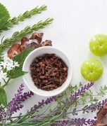 herb.jpg